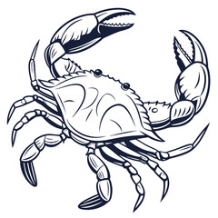 Professional vector illustration of a crab with transparent background