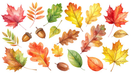 秋の紅葉、葉っぱセット（水彩画テクスチャのイラスト素材）