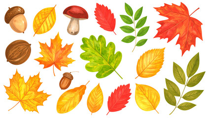 秋の紅葉、葉っぱセット（水彩画テクスチャのイラスト素材）