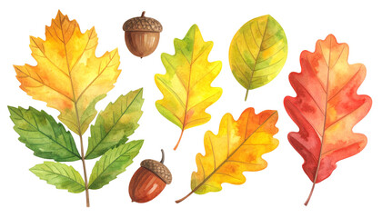 秋の紅葉、葉っぱセット（水彩画テクスチャのイラスト素材）