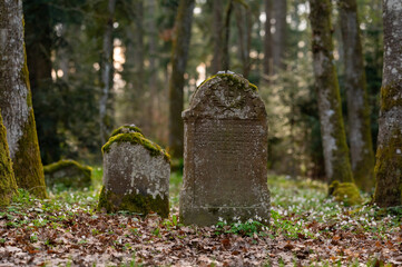 Grabsteine im Wald