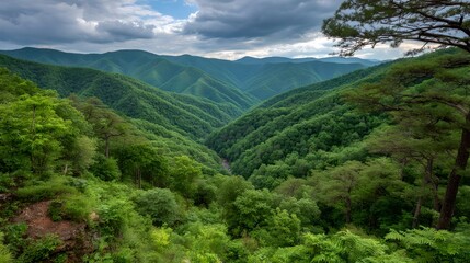 Haiku Poetry the photo captures a breathtaking view of a lush m