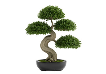 Green Bonsai Tree 3D Render Miniature Asian Plant Art