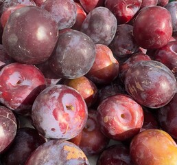 Fresh Summer Plums at a Farmers Market

