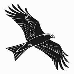 Black silhouette of a hawk soaring in flight powerful wings spread wide