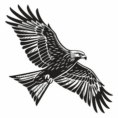 Majestic black and white eagle in flight soaring high above