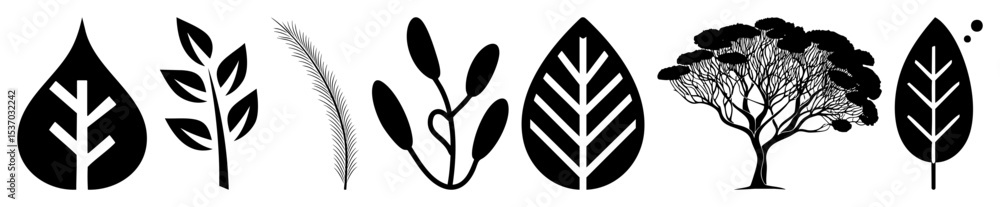 Poster vector botanical illustrations showcase diverse leaf and tree vector designs.