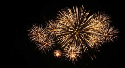 Golden Fireworks Burst Celebration - Stunning golden fireworks display against a black night sky. Symbolizes celebration, joy, hope, new beginnings, and festivity