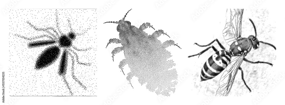 Poster vector detailed insect illustrations showcase a dragonfly tick and wasp in stippled vector style.