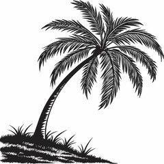 Silhouetted palm tree leaning gracefully over grass