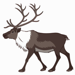 Professional cutout reindeer illustration on white background