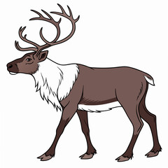 Professional reindeer illustration isolated on white background, clean cutout, ready for design projects