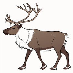 Professional reindeer illustration isolated on white background, clean cutout, ready for design projects