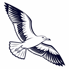 Professional seagull illustration isolated on white background, clean cutout, ready for design projects