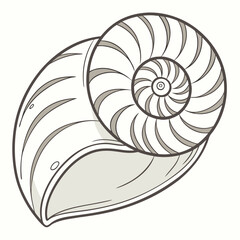 Obraz premium Nautilis shell spiral ocean sea life nature illustration drawing