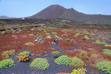 Vulkan Corona auf Lanzarote © Fotolyse