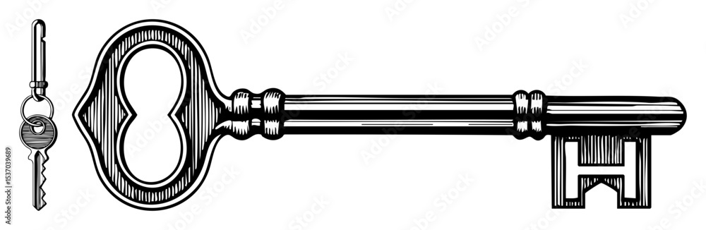 Poster vector vintage keys including a large ornate skeleton key and a small padlock key are displayed in a