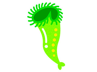 シンプルなラッパムシのイラスト素材4