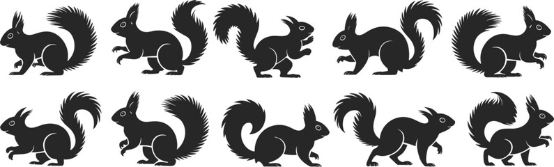 Black silhouette squirrels, vector animal illustrations, forest wildlife creatures, cute rodent clipart, cartoon squirrel designs, nature-themed icons, bushy tail mammals, graphic set