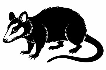 opossum sihouette black vector