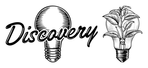 Vector Discovery concept featuring a lightbulb transforming into flourishing plant life.