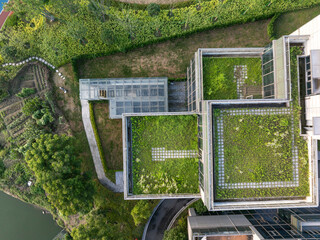 Obraz premium aerial view urban green rooftop garden