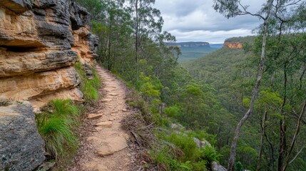 Fototapeta premium Serene Hiking Trail Surrounded by Lush Greenery Within Rocky Terrain Leading to Scenic Viewpoint in Wilderness Landscape