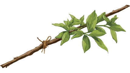 A detailed illustration of a sprig with vibrant green leaves tied with brown twine against a clean white background. The image is a close-up shot, showcasing the texture of the leaves and the twig.