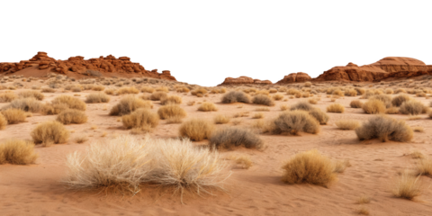 Tumbleweeds Rocky Desert Outcrops Landscape