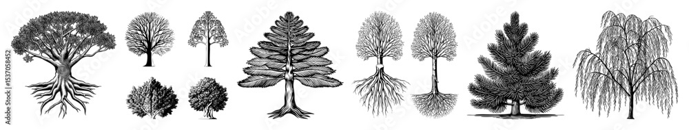 Poster vector collection of diverse detailed tree illustrations with visible root systems.