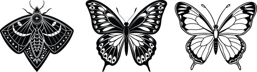 Silhouettes of butterflies. Monochrome Insect butterfly black winged gorgeous insect set isolated vector illustration
