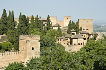 detail of the alhambra of granada