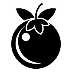 vector illustration of a Jabuticaba