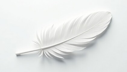 Obraz premium Crisp white feathers on seamless white background, design, photography, peaceful