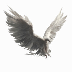 Obraz premium Majestic White Eagle in Flight Wings of Freedom and Power