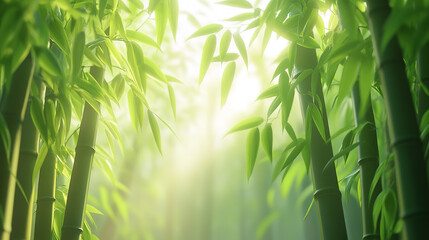 Green bamboo forest bamboo leaves fresh background