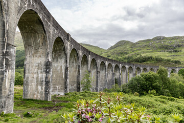 Fototapeta premium Glenfinnan viaduct in Scotland