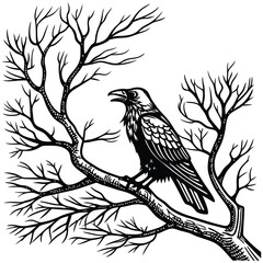 Fototapeta premium Black Raven on Bare Tree Branch Ink Drawing Illustration