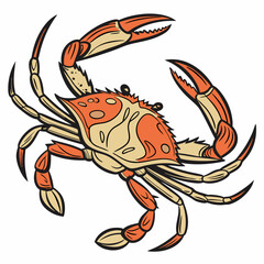 Vibrant orange and beige crab illustration