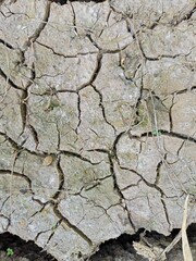 texture of the ground