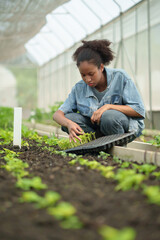 Young African woman planting seedlings in greenhouse, focused on sustainable agriculture and organic farming, surrounded by green plants and soil. © AREE
