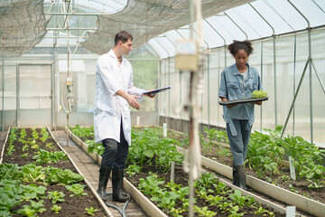 Male scientist in white lab coat holding clipboard and discussing with Young African female researcher while carrying seedling tray inside greenhouse.