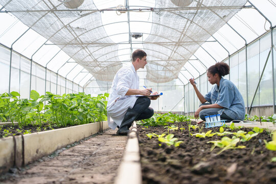 Man wearing white lab coat conducting agricultural research with clipboard in greenhouse, observing young African woman holding test tube and soil samples, scientific farming and teamwork.