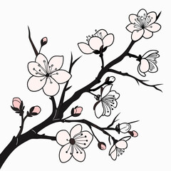 Delicate pink cherry blossom branch illustration