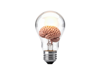 Human brain inside light bulb isolated on transparent background