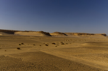 The Whale Desert, also known as Wadi Al Hitan, Egypt