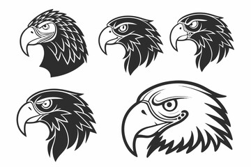 Obraz premium set of birds