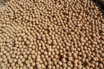 Top view of White dried Peas or Safed matar in plate.