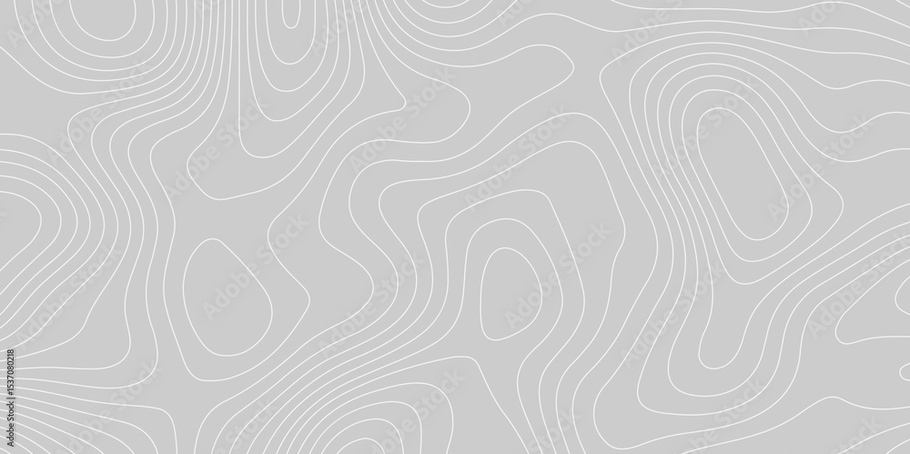 Poster abstract grey topographic contour lines on a smooth background. minimalist elevation map pattern ide