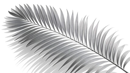 Elegant Silver Palm Leaf with Subtle Shadows for Minimalist Decor